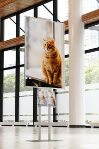 Prezenter plakatu B1 707x1000mm na ulotki A4 A5 i DL