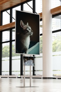 Prezenter plakatu B1 707x1000mm na ulotki A4 A5 i DL