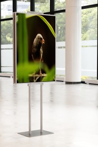 Dwustronny składany stojak ekspozytor na plakat 2 x B1 707x1000mm