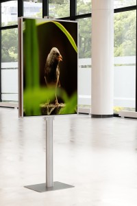 Dwustronny składany stojak ekspozytor na plakat 2 x B1 707x1000mm