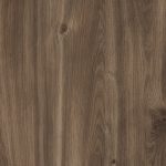 Dąb Castello Koniakowy